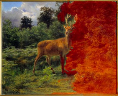 Hirvi kuuntelemassa tuulta od Rosa Bonheur