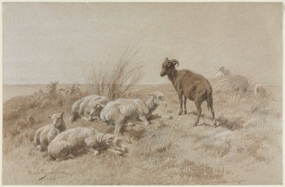 Ovce od Rosa Bonheur