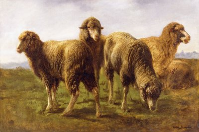 Ovce pasoucí se na louce, od Rosa Bonheur