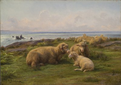 Ovce u moře od Rosa Bonheur