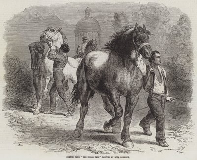 Skica z The Horse Fair od Rosa Bonheur