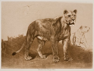  od Rosa Bonheur