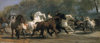 Studie pro koňský trh, 1852-54 od Rosa Bonheur