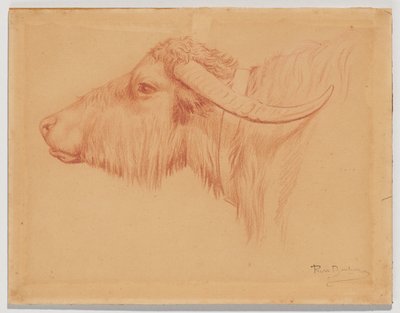  od Rosa Bonheur