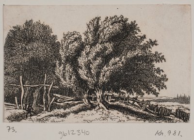 Krajina od Rosalie Holm