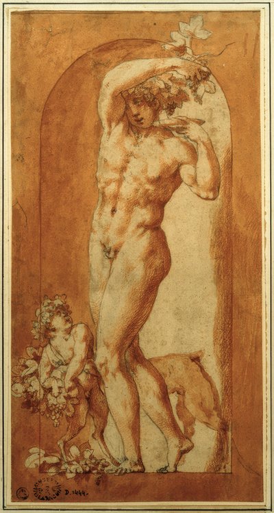 Bakchus ve výklenku od Rosso Fiorentino