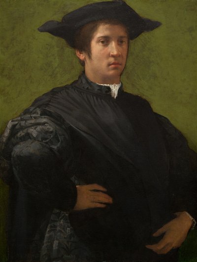 Portrét muže, počátek 20. let 16. století. od Rosso Fiorentino