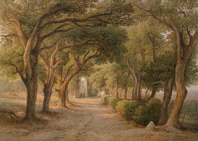 Castel Gandolfo (akvarel na papíře) od Rudolf Müller