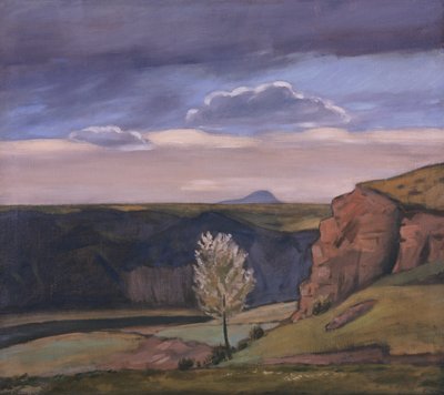 View from Žalov towards Říp Mountain od Rudolf Vejrych