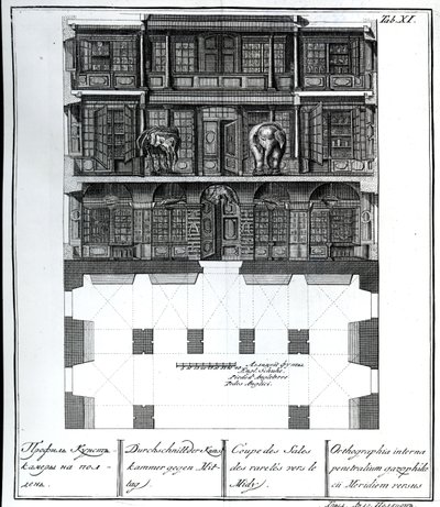 Pohled v řezu na Síň rarit směrem k jihu, ilustrace v komnatách knihovny a galerie Císařské akademie věd v Petrohradě zobrazující plány, fasády a profily od Johanna od Russian School