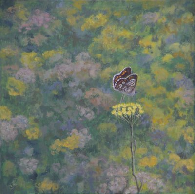 Brown Argus (po fotografii Sara Crow) od Ruth Addinall