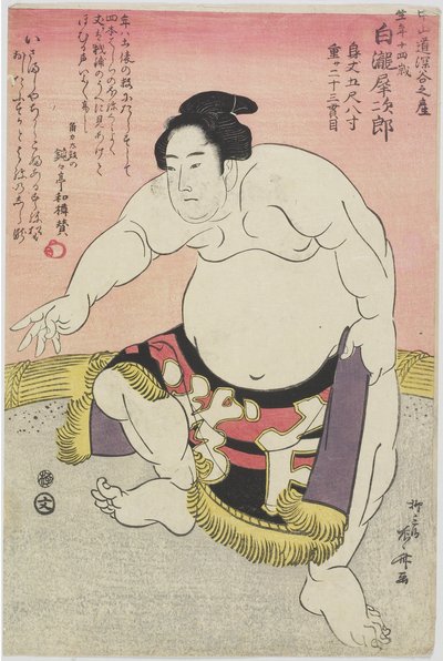 Tesmo _ Wre ster Shirataki Noodles _ od Ryuryukyo Shinsai