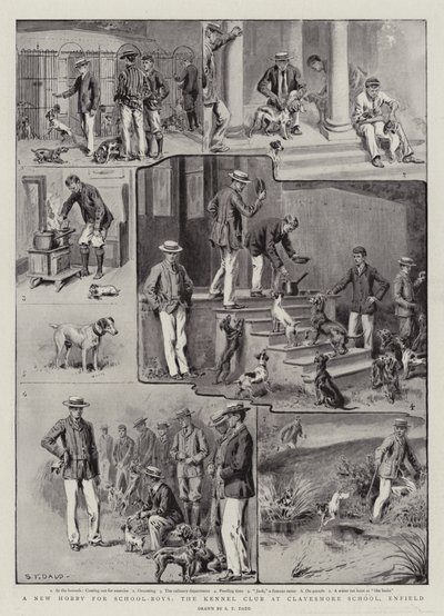 New Hobby for School-Boys, Kennel Club v Clayesmore School, Enfield od S.T. Dadd