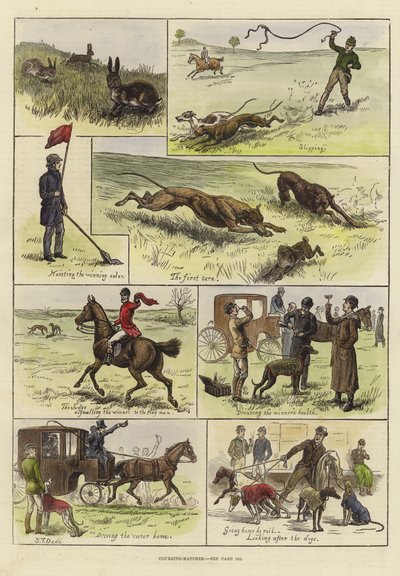 Coursingové zápasy od S.T. Dadd