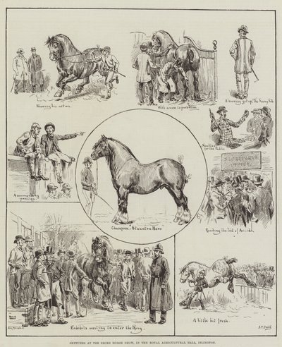 Náčrtky na Shire Horse Show, v Royal Agricultural Hall, Islington od S.T. Dadd