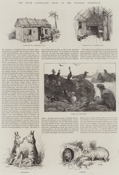 South Australian Court na koloniální výstavě od S.T. Dadd