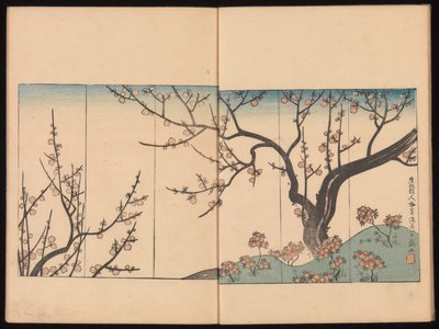  od Sakai Hoitsu