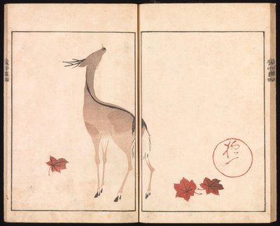  od Sakai Hoitsu