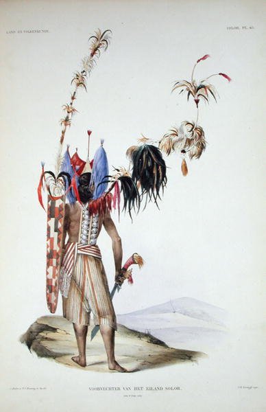 Warrior of Solor Island, z ‚Rozpravy o přirozené historii holandského zámořského majetku‘, svazek I, od Coenraada Jacoba Temmincka, vyryl J.M. Kierdorff, publikoval 1839-44 (barevná litografie) od Salomon and Bruining T.C. (after) Muller