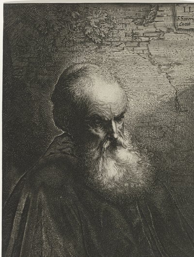Portrét starého muže s plnovousem od Salomon Savery