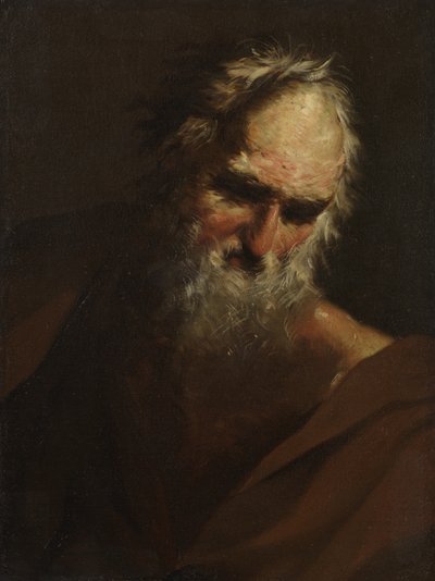 Hlava vousatého muže, kolem 1640-80 od Salvator Rosa