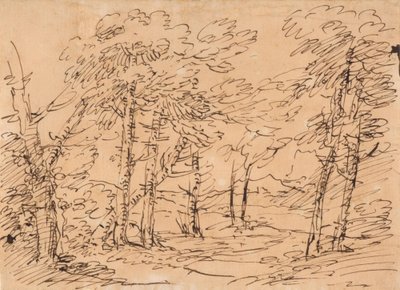 Krajina se stromy a horami v pozadí od Salvator Rosa