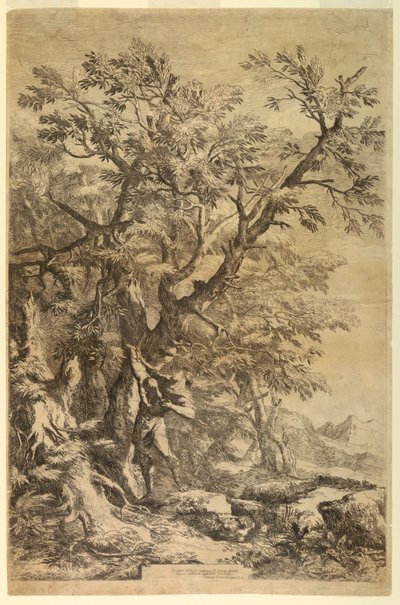 Oidipus vystaven na hoře Cithaeron od Salvator Rosa