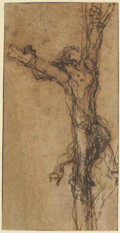 Studie na Polykratovo ukřižování od Salvator Rosa