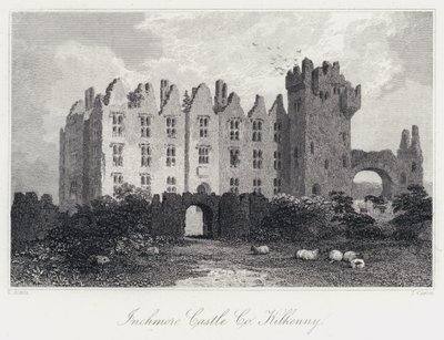 Inchmore Castle, Co Kilkenny (rytina) od Samuel (after) Austin