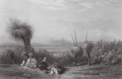 Austrálie: Grass Tree Plains (rytina) od Samuel (after) Prout