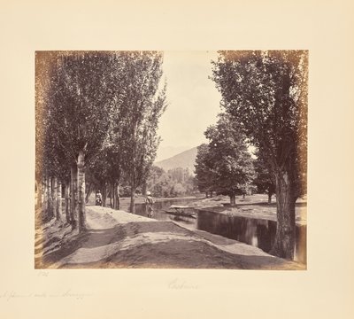  od Samuel Bourne