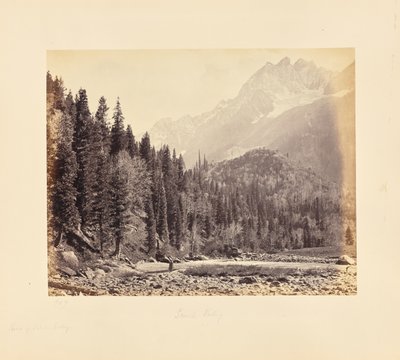  od Samuel Bourne