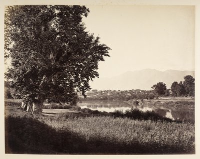 Beej Bihara byl Jhelum od Samuel Bourne