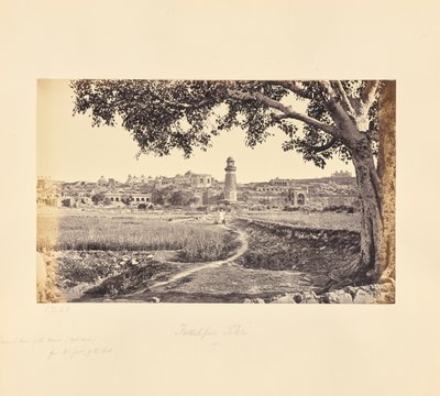 Fatehpur Sikri; celkový pohled na zříceniny (západní strana), od úpatí kopce od Samuel Bourne