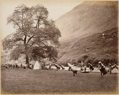  od Samuel Bourne