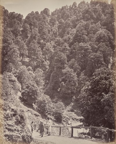  od Samuel Bourne