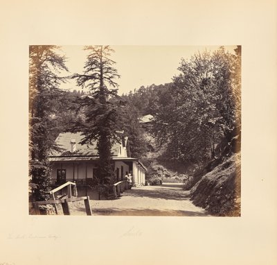 Simla; The Mall, Combermere Ridge od Samuel Bourne