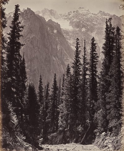 od Samuel Bourne
