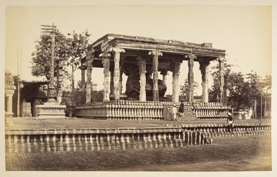 Velký kamenný býk, Tanjore od Samuel Bourne
