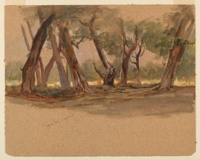 Cypřiše, Chapultepec, Mexiko od Samuel Colman
