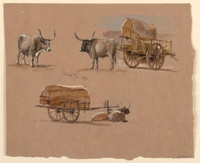 Kresba, volské potahy, Řím, Itálie, leden 1873 od Samuel Colman