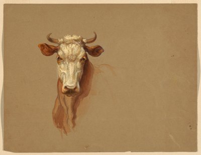 Kresba, Dvě studie.  Dobytek, 1876 od Samuel Colman