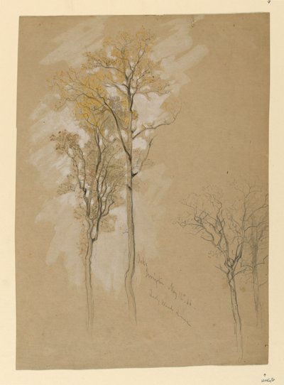 Oaks, Lady Wood Lane, Irvington od Samuel Colman