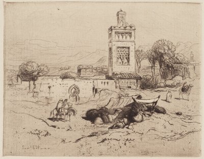 Ruiny mešity, Tlemcen, Alžírsko od Samuel Colman