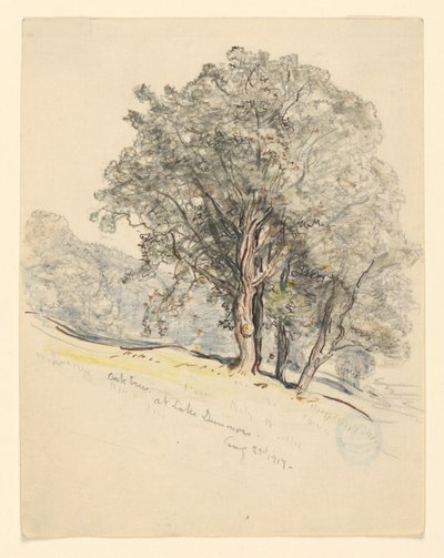 Studie dubů u jezera Dunmore, Vermont od Samuel Colman