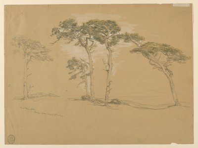 Naváté borovice, Pacific Grove. Verso: Silnice po pobřeží Tichého oceánu do Point Sur. od Samuel Colman