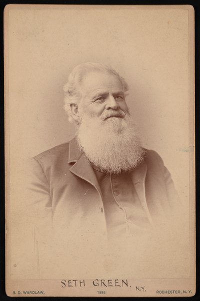 Portrét Setha Greena 1817-1888, 1886. od Samuel D Wardlaw