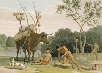 Korah Hottentots Preparing to Remove, deska 20 z „African Scenery and Animals“, vyryto umělcem, 1805 (akvatinta) od Samuel Daniell