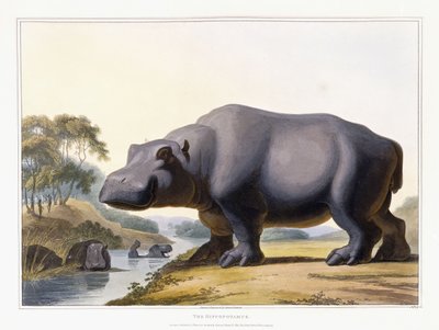 Hroch, 1804 od Samuel Daniell