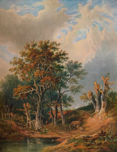 Krajina, 1847 od Samuel David Colkett